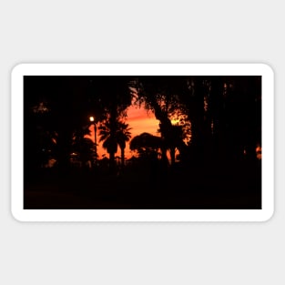 Palm trees silhouette at sunset Sticker